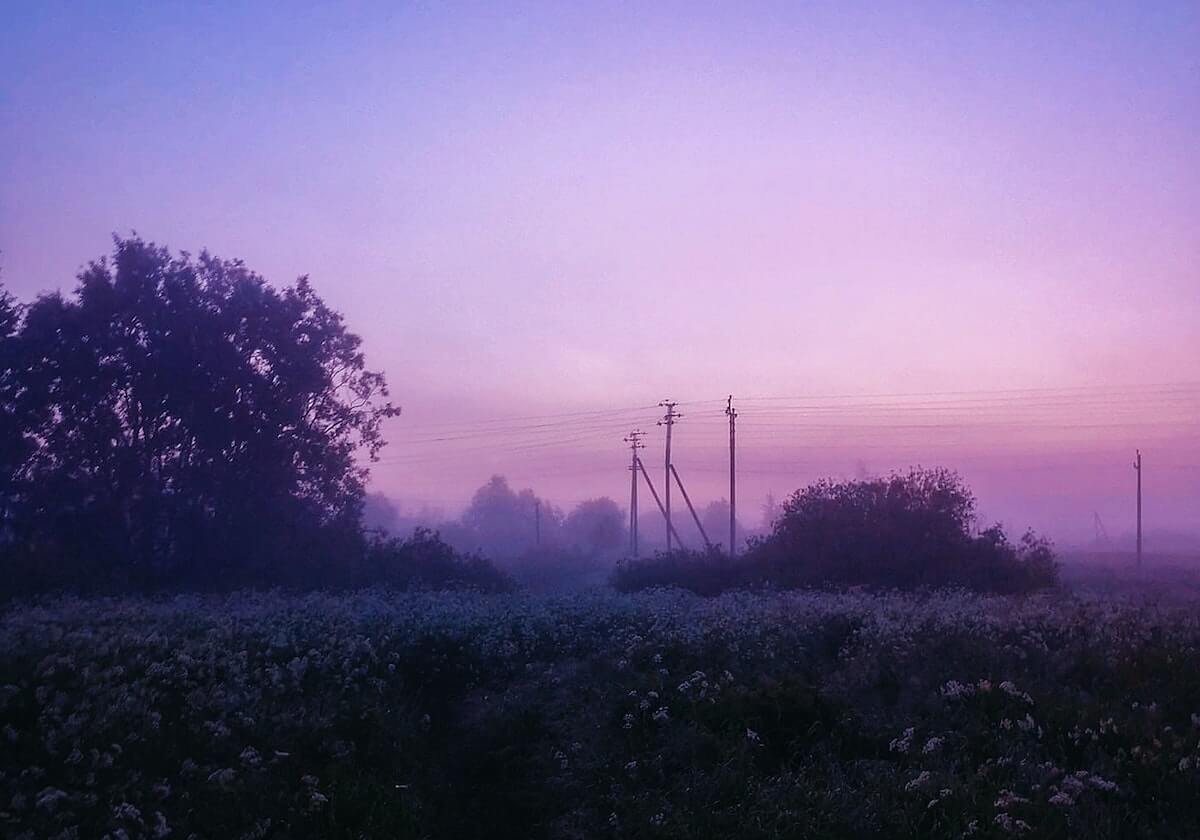 郑钦文、张之臻领衔！四名中国选手进入法网正赛，商竣程因伤退赛